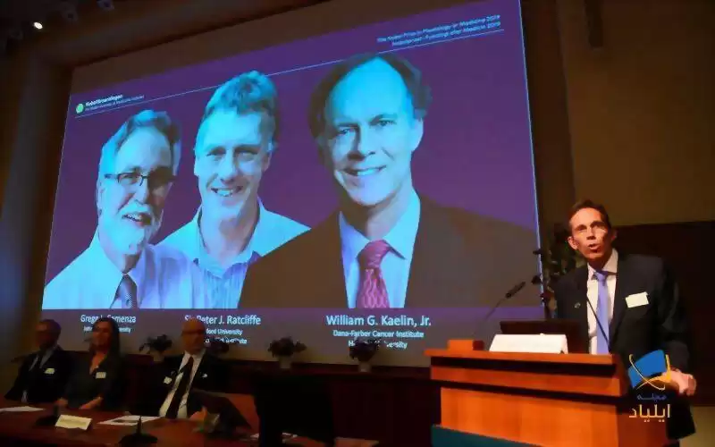 نوبل پزشکی ۲۰۱۹ به چه کسانی رسید؟