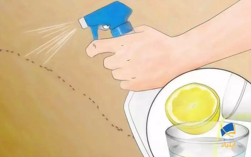 محلول آب لیمو درست کنید