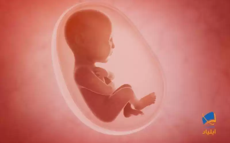 آیا جنین در شکم مادر خود می‌تواند چیزی ببیند؟