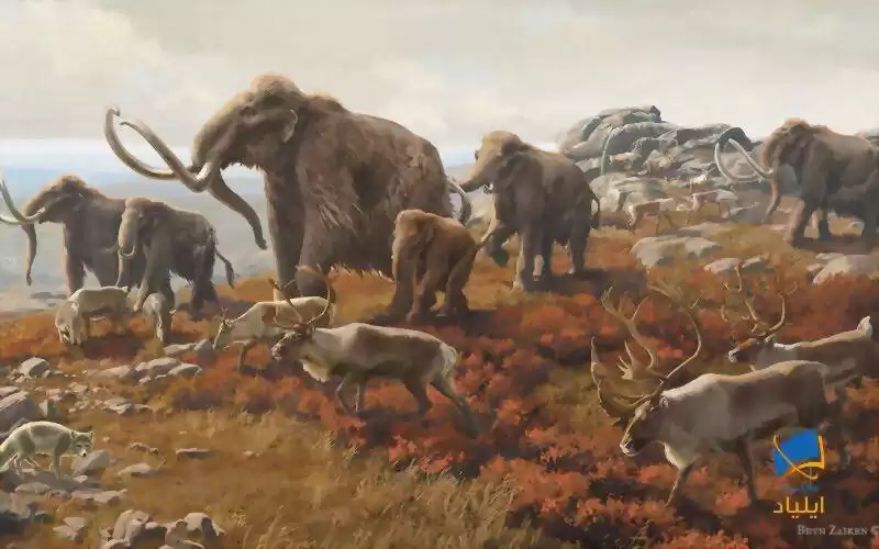 چه چیزی باعث انقراض حیوانات در عصر یخبندان شد؟