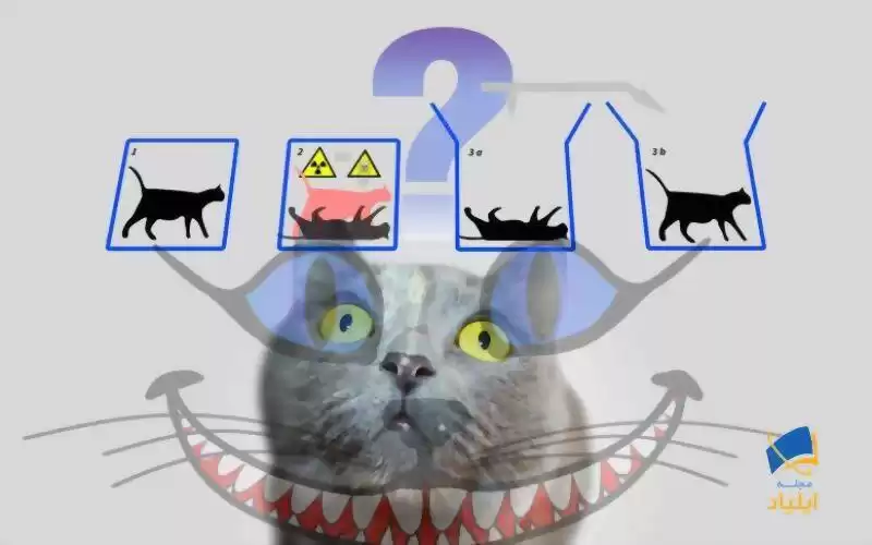 گربه‌ی چشایر توضیح می‌دهد؛ پارادوکس گربه‌ی شرودینگر چیست؟