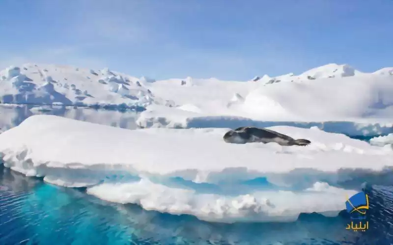 رکورد دما در جنوبگان شکسته شد