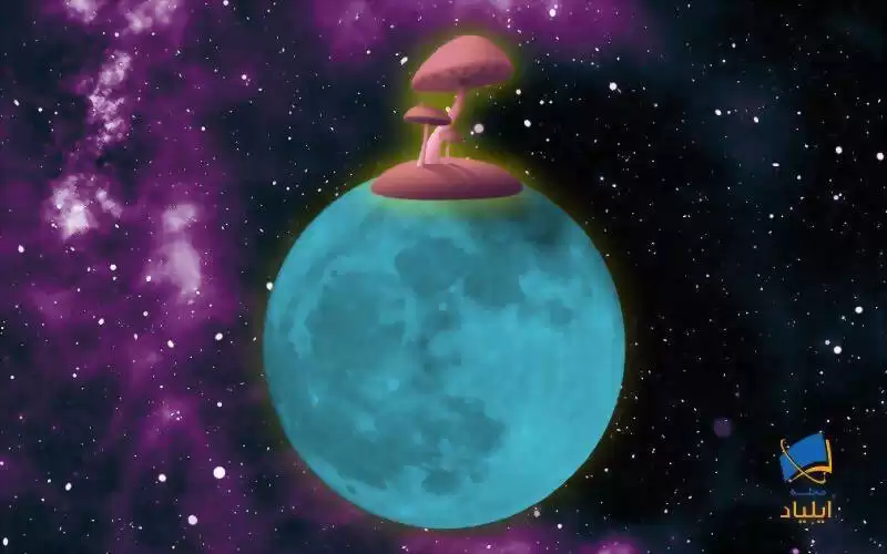ناسا در ماه، پرورش قارچ‌ راه می‌اندازد