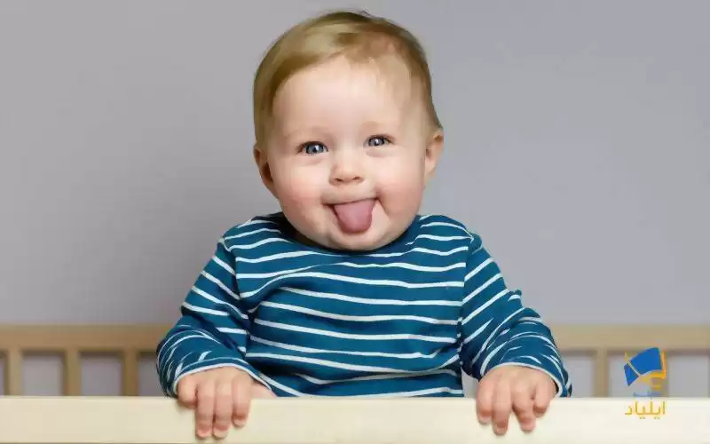 نوزادان ۸ ماهه گرامر زبان مادری خود را می‌دانند