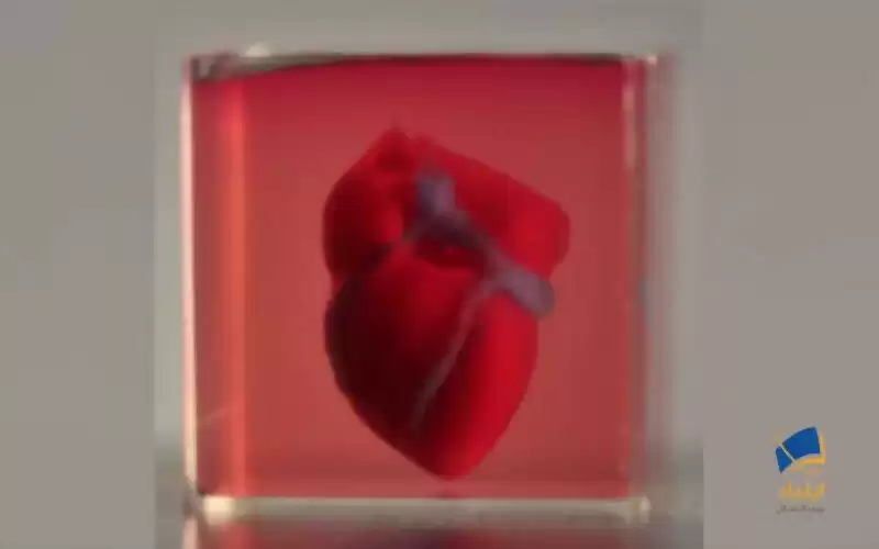 تکنولوژی چاپ سه‌بُعدی، قلبی با سلول‌های انسانی ساخت