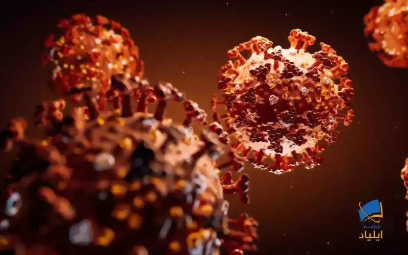 تست جدیدی برای شناسایی سریع کرونا ویروس