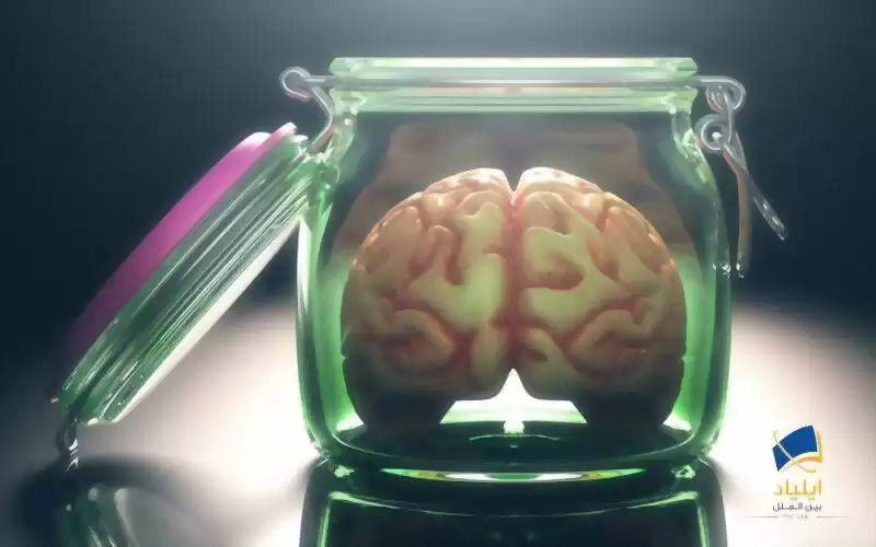 چگونه دانشمندان مغزی را پس از چهار ساعت‌ مرگ، احیا کردند؟