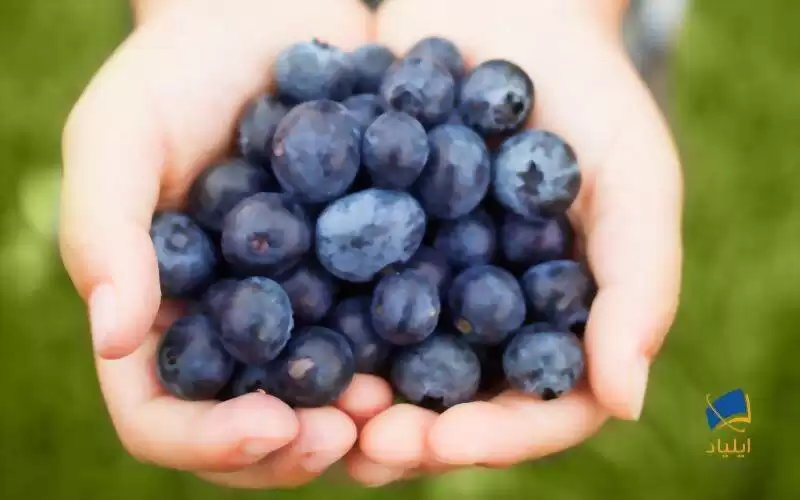 کاهش خطر بیماری‌های قلبی با خوردن نوعی میوه
