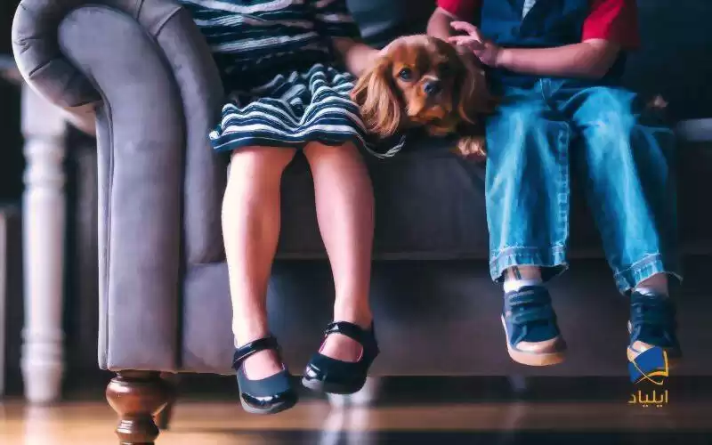 چرا سگ‌ها بیشتر کودکان را گاز می‌گیرند؟