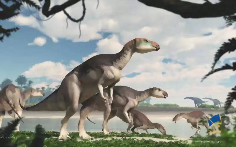 کشف گونه‌ی جدیدی از دایناسورهای گیاهخوار