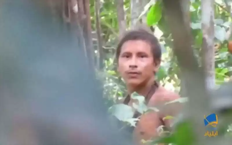 کشف قبیله‌ای در دل جنگل‌های آمازون