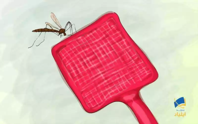 چگونه از گزش حشرات جلوگیری کنیم و جای نیش آن‌ها را درمان کنیم؟