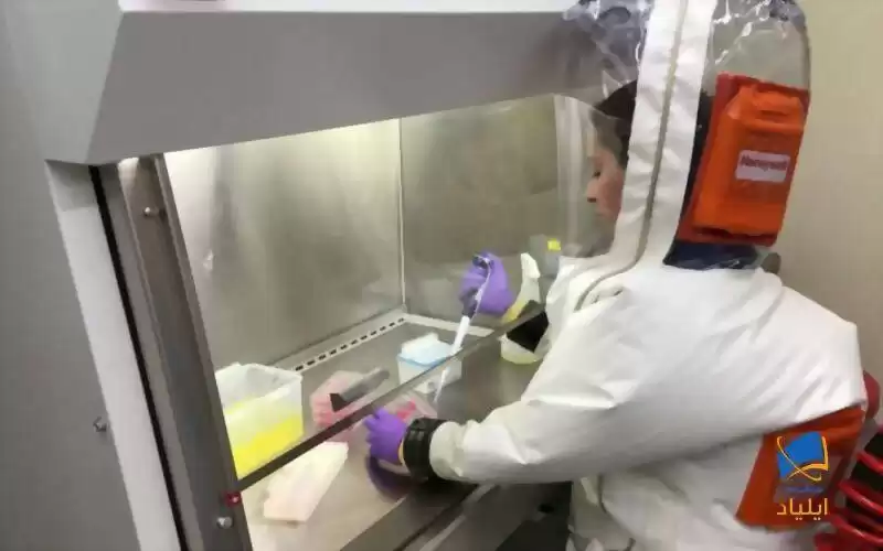 نانواسفنج‌هایی برای مقابله با کرونا ویروس