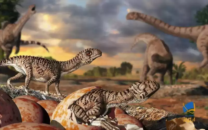 رازهایی در مورد تخم دایناسورها