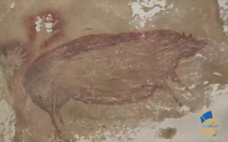 کشف قدیمی‌ترین نقاشی که توسط انسان کشیده شده است