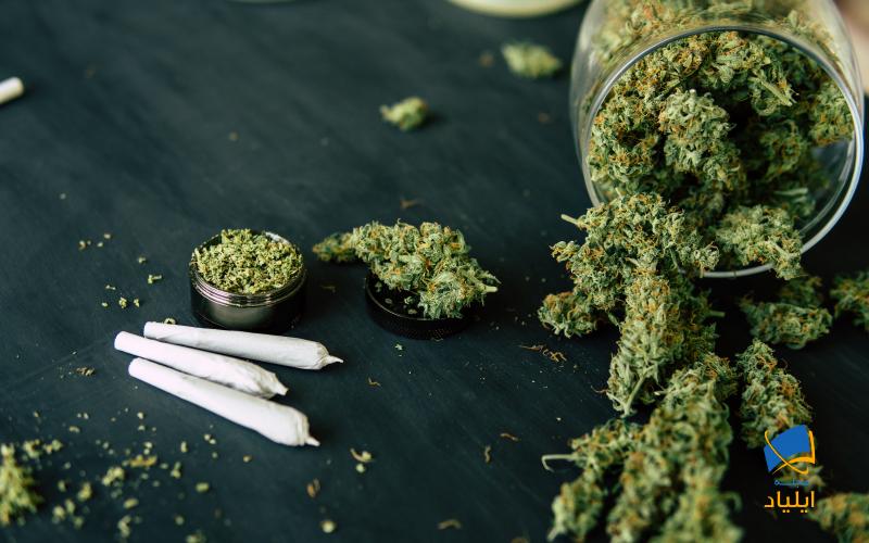 ماریجوانا چه تاثیری بر روی خلاقیت دارد؟
