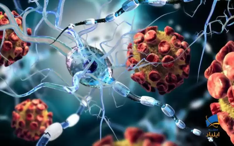 کرونا ویروس جدید، امکان ورود به مغز را دارد