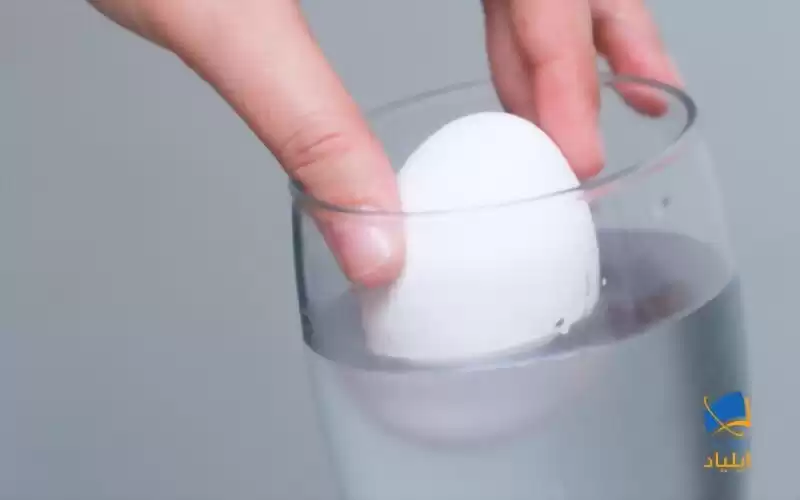 آزمایش تازگی تخم‌مرغ