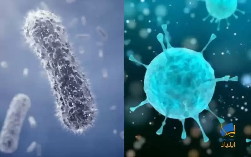 تفاوت‌های باکتری و ویروس در چیست؟
