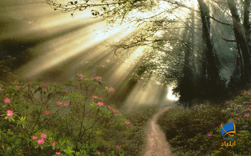 دانستنیهایی جالب دربارهی نور