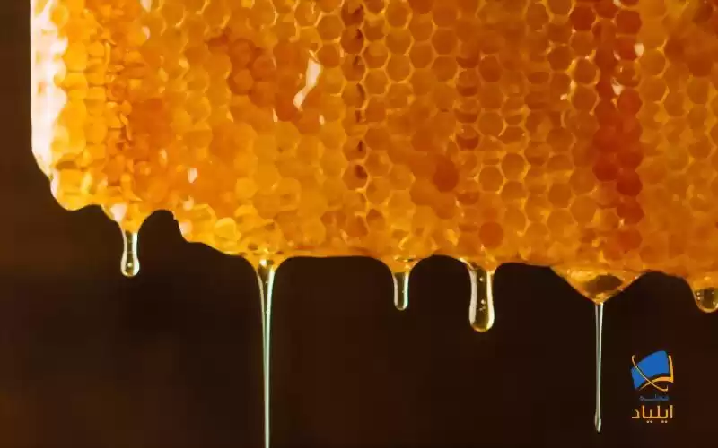 خارق‌العاده‌‌ترین عسل جهان را بشناسید