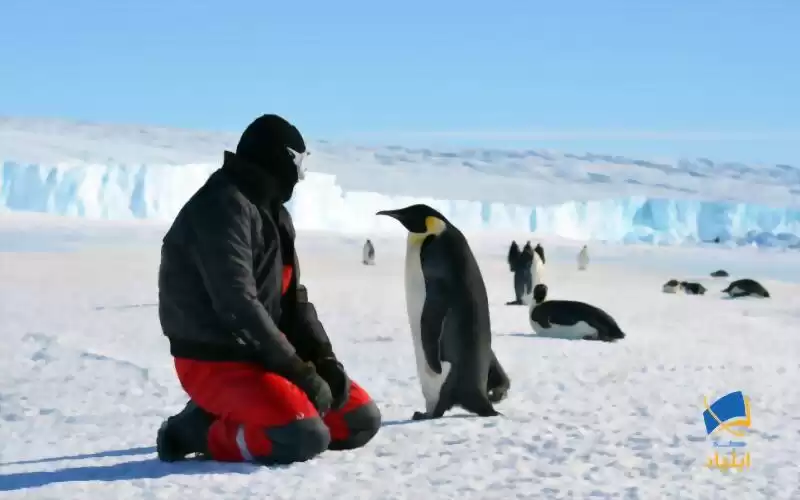جنوبگان؛ صلح‌آمیزترین قاره‌ی جهان