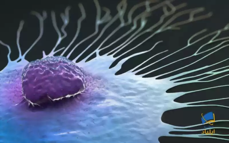 سلول‌های سرطانی چگونه در بدن پخش می‌شوند؟