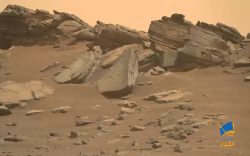 چه شکل‌هایی از حیات می‌تواند بر روی مریخ زنده بماند؟