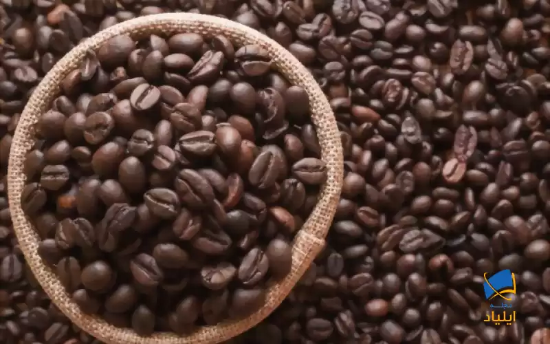 بهترین نوع قهوه کدام است؟