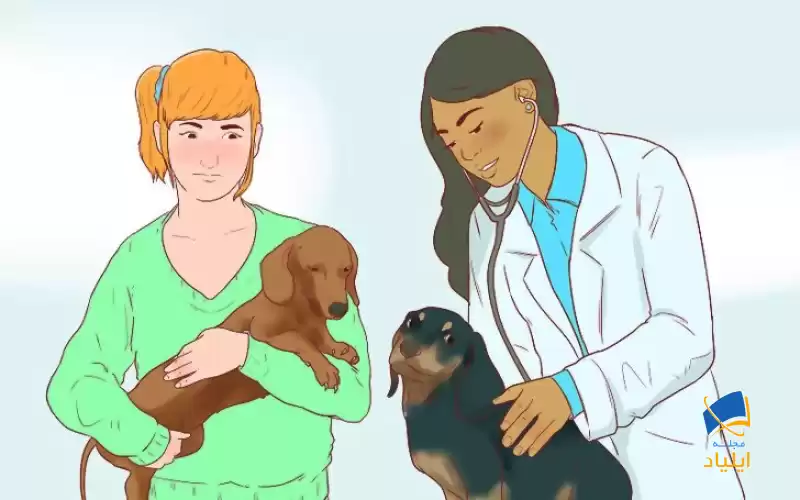 شناسایی عفونت در حیوانات خانگی