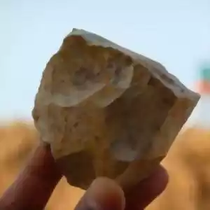 کشف استخوان‌ها و ابزارهای سنگی ۲.۴ میلیون ساله