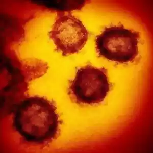 تشخیص سریع ویروس کرونا با کمک سیتی‌اسکن 
