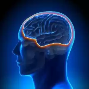 محققان ضربان‌ساز بی‌سیمی را برای مغز طراحی کردند.
