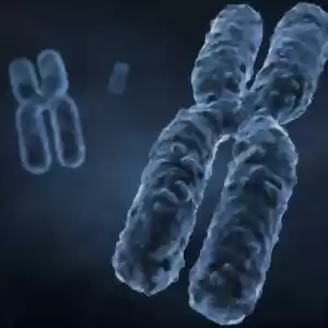 تهیه تصویر سه‌بعدی کروموزوم انسانی