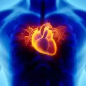 چطور می‌توان سکته و حمله‌ی قلبی را پیش‌بینی کرد؟