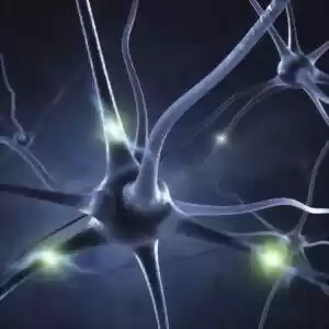ارائه‌ی مدلی دقیق از دستگاه عصبی انسان