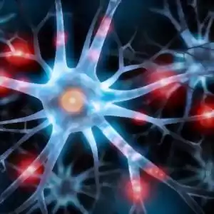 دانشمندان به پیوند سلول‌های بنیادی مغز نزدیک شدند