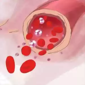 چگونه تعداد گلبول‌های قرمز خون را افزایش دهیم؟