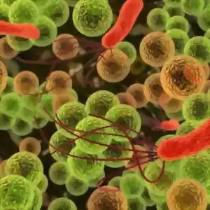 تفاوت‌های باکتری و ویروس در چیست؟
