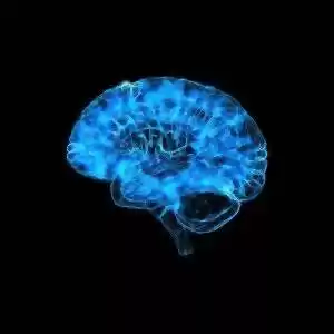 تفاوت نورون‌های عصبی در مغز افراد باهوش با افراد عادی