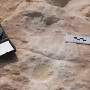 کشف قدیمی‌ترین رد پا، خارج از آفریقا