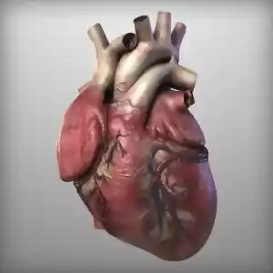 قلب مصنوعی چگونه کار می‌کند؟