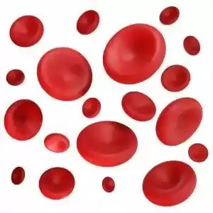 راهی جدید برای بازتولید سریع‌تر سلول‌های خون!