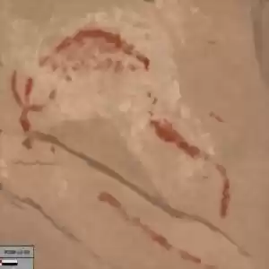کشف نقاشی‌های سی‌هزار ساله!