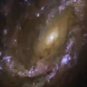 کهکشانی مارپیچی و ابرنواخترهایش