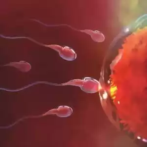 اسپرم انسان چگونه شنا می‌کند؟