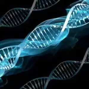 روشی نوین برای تثبیت ژن‌ها در موجودات زنده