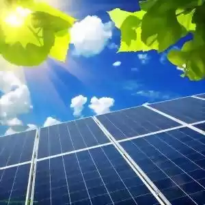 نسل بعدی سلول‌های خورشیدی به‌رنگ گیاهان سبز 