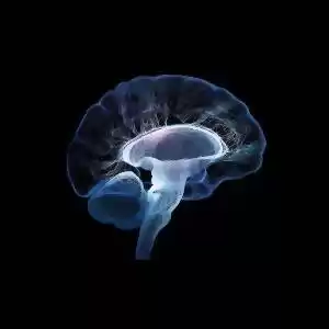 اتصال مغز انسان به اینترنت