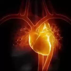 با هر تپش قلب‌، چه اتفاقی در بدن شما می‌افتد؟